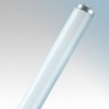FT18840 Cool White Triphosphor T8 Fluorescent Tube 18W G13 240V 600mm x 26mm