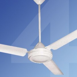 Ceiling Sweep Fans